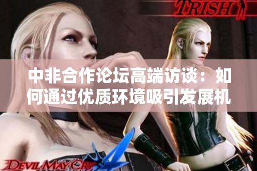 中非合作论坛高端访谈：如何通过优质环境吸引发展机遇