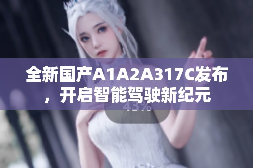 全新国产A1A2A317C发布，开启智能驾驶新纪元