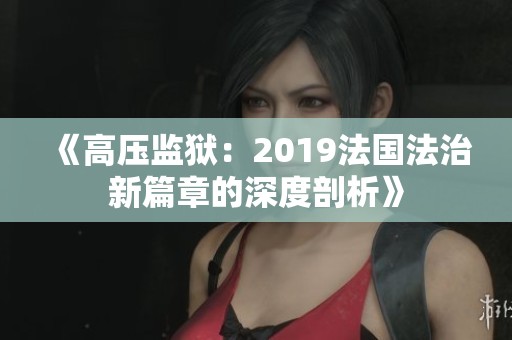 《高压监狱：2019法国法治新篇章的深度剖析》