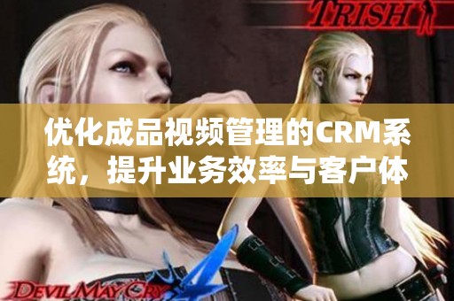 优化成品视频管理的CRM系统，提升业务效率与客户体验