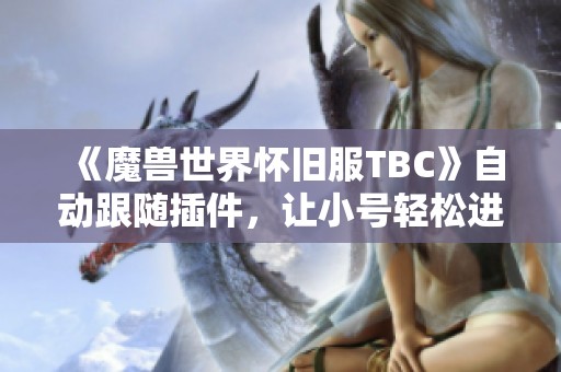 《魔兽世界怀旧服TBC》自动跟随插件，让小号轻松进出副本