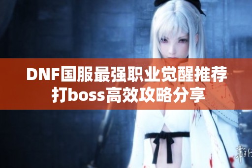 DNF国服最强职业觉醒推荐 打boss高效攻略分享