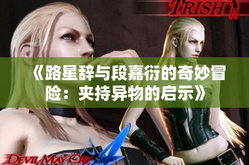 《路星辞与段嘉衍的奇妙冒险：夹持异物的启示》