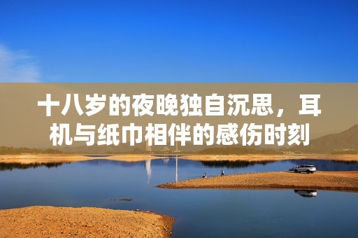 十八岁的夜晚独自沉思，耳机与纸巾相伴的感伤时刻
