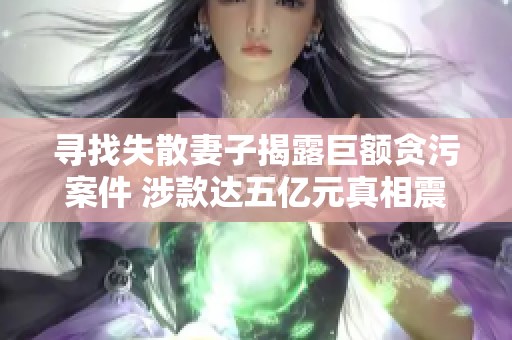 寻找失散妻子揭露巨额贪污案件 涉款达五亿元真相震惊全国