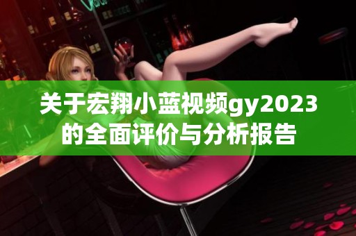 关于宏翔小蓝视频gy2023的全面评价与分析报告