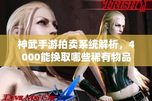 神武手游拍卖系统解析，4000能换取哪些稀有物品