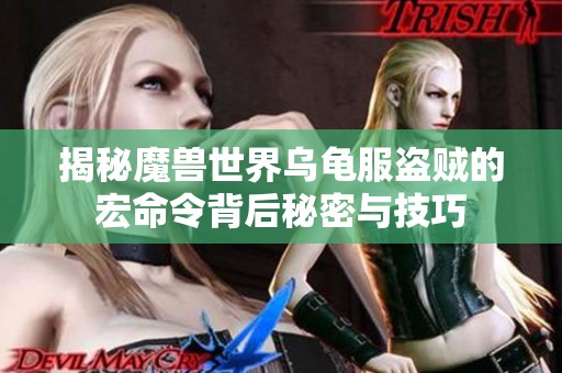 揭秘魔兽世界乌龟服盗贼的宏命令背后秘密与技巧