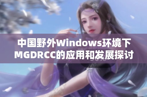 中国野外Windows环境下MGDRCC的应用和发展探讨