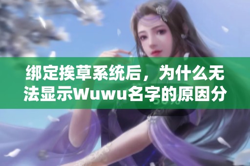 绑定挨草系统后，为什么无法显示Wuwu名字的原因分析