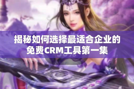 揭秘如何选择最适合企业的免费CRM工具第一集