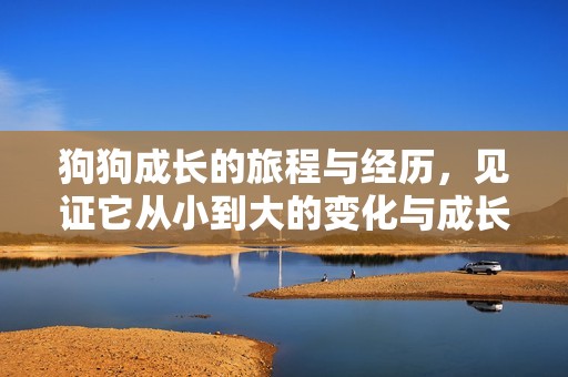 狗狗成长的旅程与经历，见证它从小到大的变化与成长