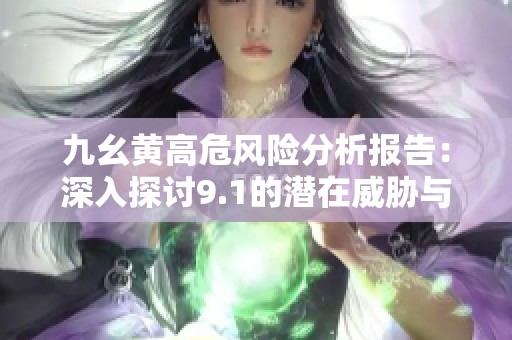 九幺黄高危风险分析报告：深入探讨9.1的潜在威胁与应对策略