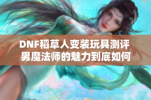 DNF稻草人变装玩具测评 男魔法师的魅力到底如何