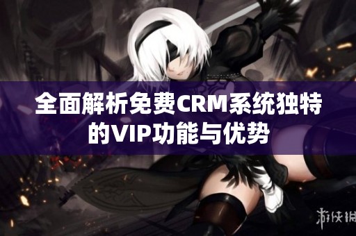 全面解析免费CRM系统独特的VIP功能与优势