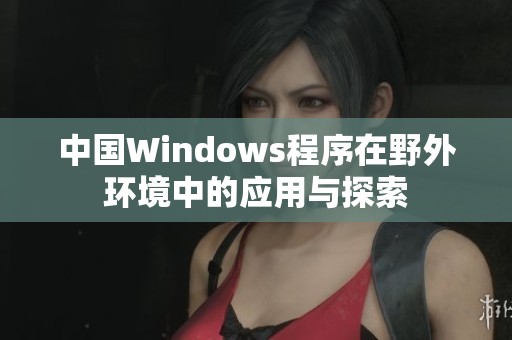 中国Windows程序在野外环境中的应用与探索