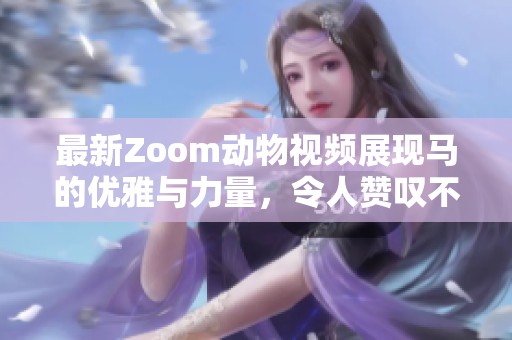 最新Zoom动物视频展现马的优雅与力量，令人赞叹不已