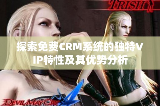 探索免费CRM系统的独特VIP特性及其优势分析