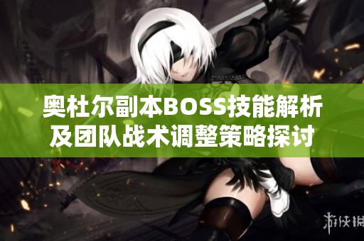 奥杜尔副本BOSS技能解析及团队战术调整策略探讨