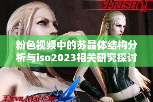 粉色视频中的苏晶体结构分析与iso2023相关研究探讨