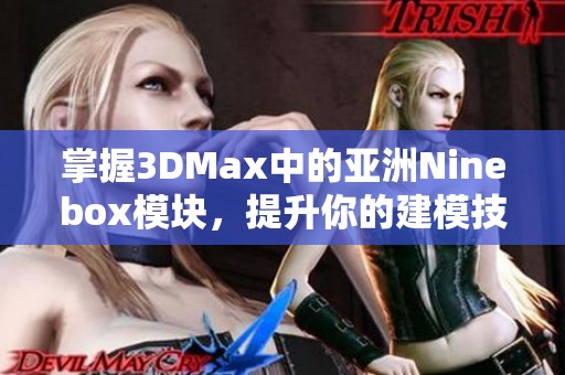 掌握3DMax中的亚洲Ninebox模块，提升你的建模技能