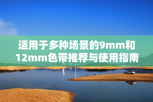 适用于多种场景的9mm和12mm色带推荐与使用指南