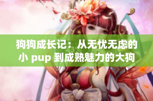 狗狗成长记：从无忧无虑的小 pup 到成熟魅力的大狗