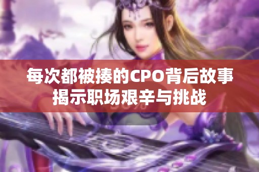 每次都被揍的CPO背后故事揭示职场艰辛与挑战