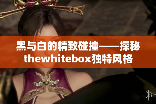 黑与白的精致碰撞——探秘thewhitebox独特风格