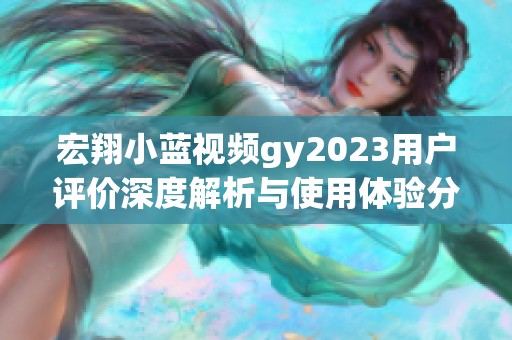 宏翔小蓝视频gy2023用户评价深度解析与使用体验分享