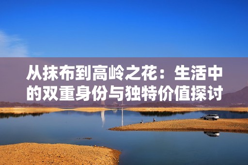 从抹布到高岭之花：生活中的双重身份与独特价值探讨