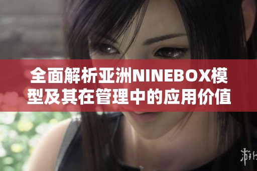 全面解析亚洲NINEBOX模型及其在管理中的应用价值