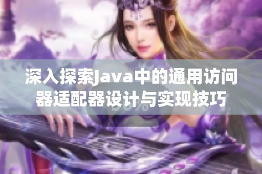 深入探索Java中的通用访问器适配器设计与实现技巧