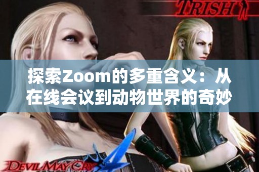 探索Zoom的多重含义：从在线会议到动物世界的奇妙联系