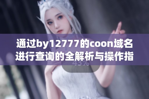 通过by12777的coon域名进行查询的全解析与操作指南