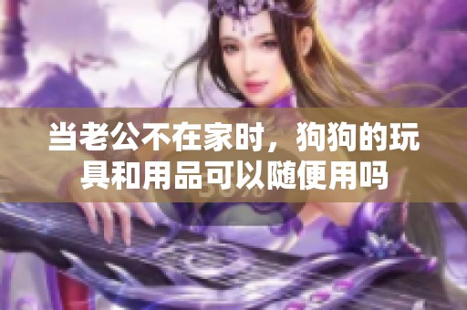 当老公不在家时，狗狗的玩具和用品可以随便用吗