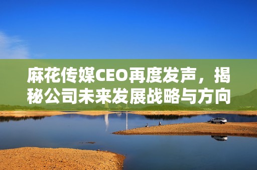 麻花传媒CEO再度发声，揭秘公司未来发展战略与方向