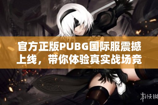 官方正版PUBG国际服震撼上线，带你体验真实战场竞技乐趣