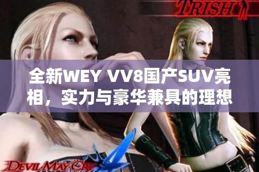 全新WEY VV8国产SUV亮相，实力与豪华兼具的理想之选