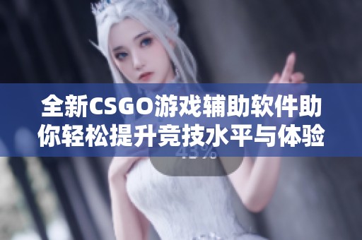 全新CSGO游戏辅助软件助你轻松提升竞技水平与体验