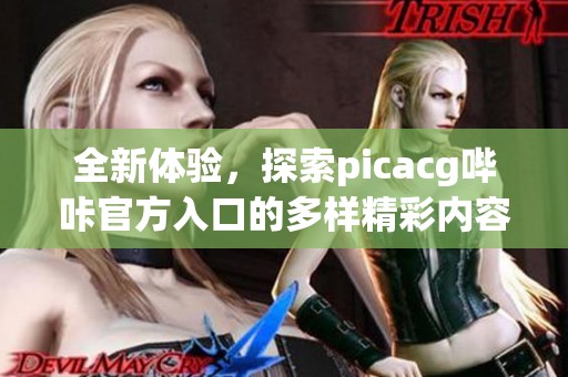 全新体验，探索picacg哔咔官方入口的多样精彩内容