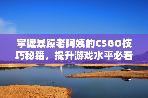 掌握暴躁老阿姨的CSGO技巧秘籍，提升游戏水平必看！