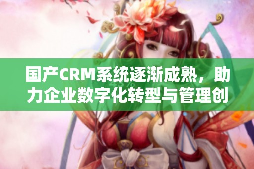 国产CRM系统逐渐成熟，助力企业数字化转型与管理创新