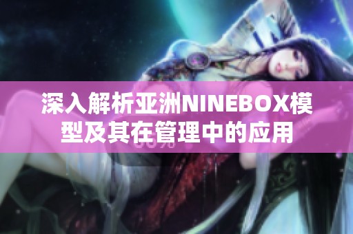 深入解析亚洲NINEBOX模型及其在管理中的应用