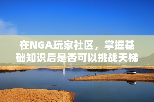 在NGA玩家社区，掌握基础知识后是否可以挑战天梯？