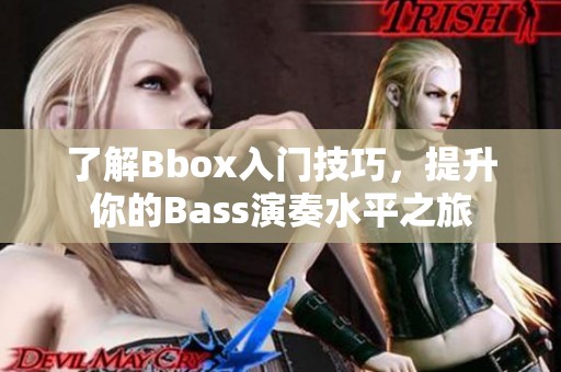 了解Bbox入门技巧，提升你的Bass演奏水平之旅