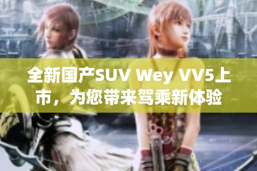 全新国产SUV Wey VV5上市，为您带来驾乘新体验