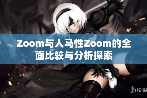 Zoom与人马性Zoom的全面比较与分析探索