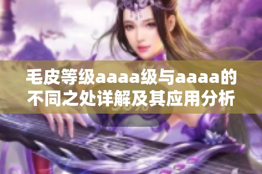 毛皮等级aaaa级与aaaa的不同之处详解及其应用分析