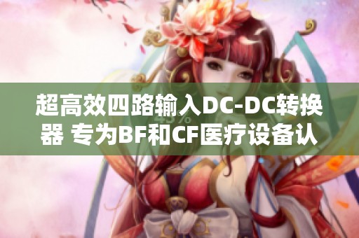 超高效四路输入DC-DC转换器 专为BF和CF医疗设备认证设计